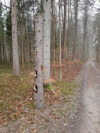 es gibt immer was zu entdecken...