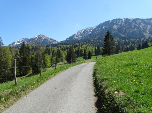 Ein sehnsüchtiger Blick zurück...