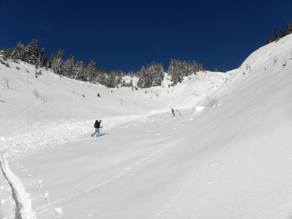 Kurz vor der Höttinger Alm geht es vom Forstweg herunter.
