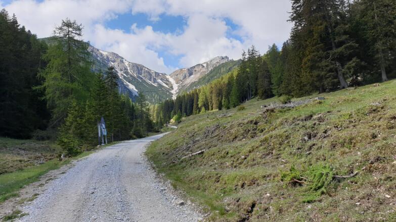 Anfangs kurz der Forststraße folgen. Das Joch im Hintergrund ist das Ziel