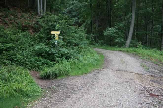 An dieser markanten Kurve (mit Holzlagerplatz) zweigt links der Traunmüllersteig ab.