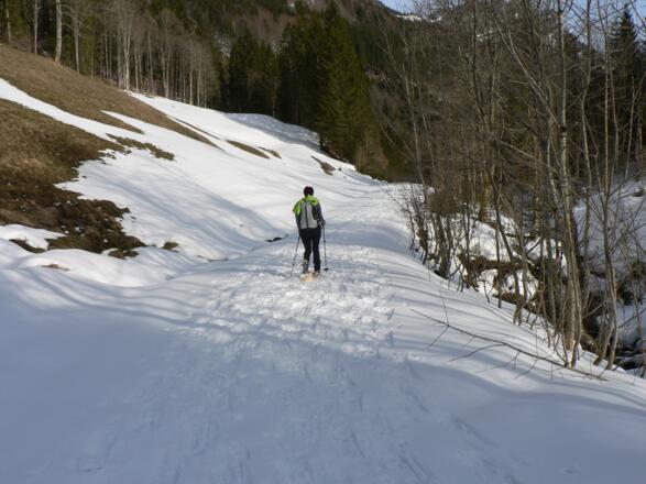 ... und folgen dem Bachverlauf zurück zur Hengstpassstraße oberhalb der Rot-Kreuz-Kapelle