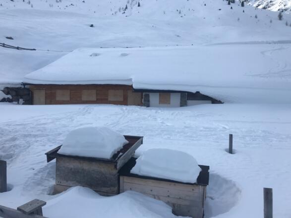 Winterruhe auf der Neubergalm