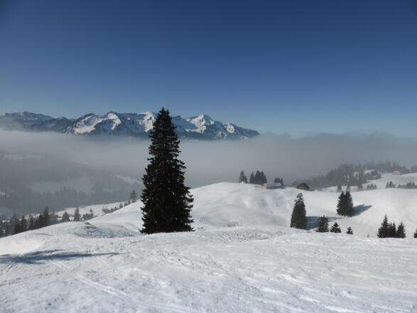 Riesalpe über Sibratsgfäll