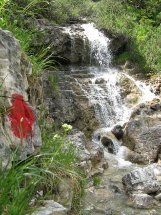 Kleine Wasserfälle, links und rechts des Pfades, "speisen" den Roggenbach!