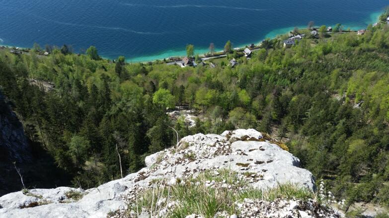 Rückblick