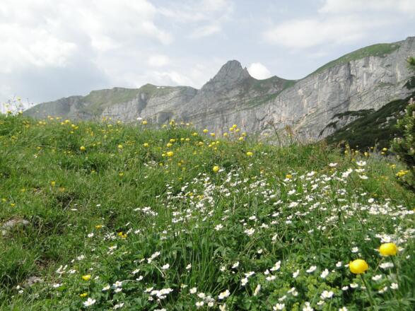 Vorderes Sonnwendjoch und Sagzahn von unten