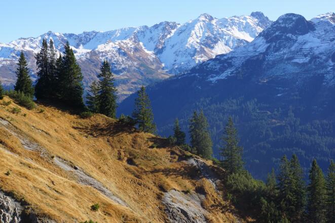 Steil durch den Glongtobel zur Glongalpe