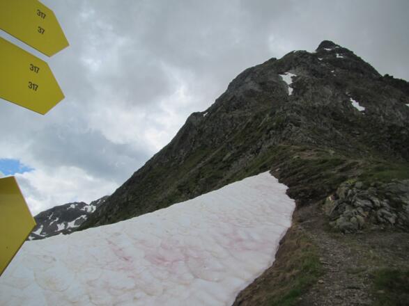 Zunigsattel mit Blick auf den Gipfelaufbau