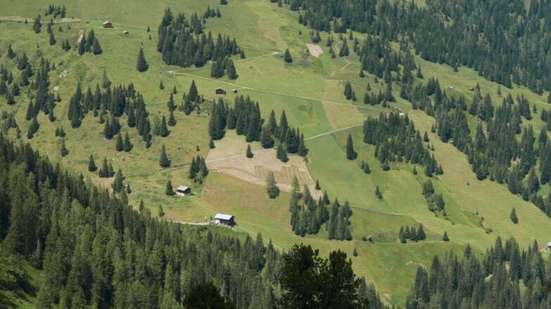 Die Bloshütte ist bald erreicht