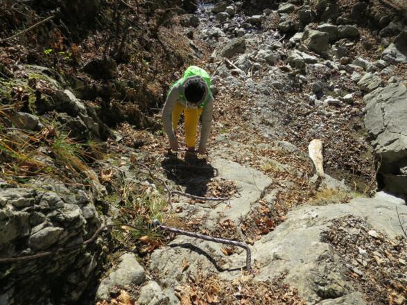 Spuren einer alten Weganlage sind nicht zu übersehen. Die Betreuung wurde bereits vor vielen Jahren aufgegeben.