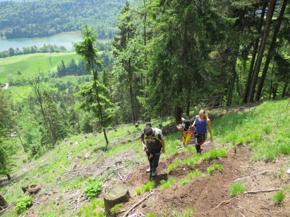 Steiler Zustieg zum Klettersteig
