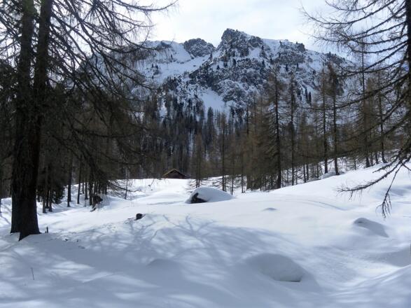Maureckalm