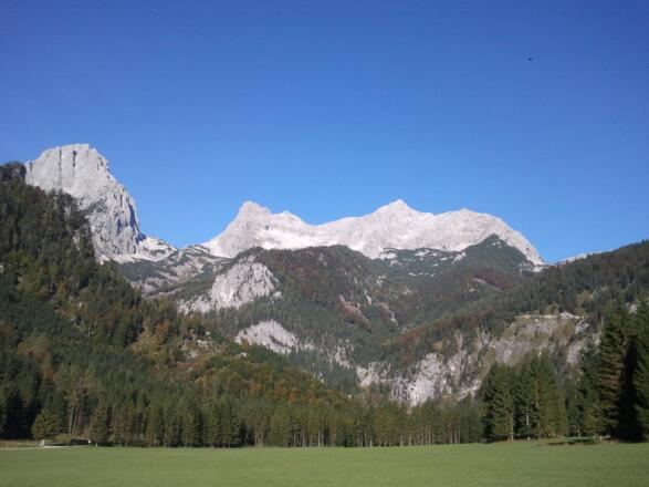 Panorama