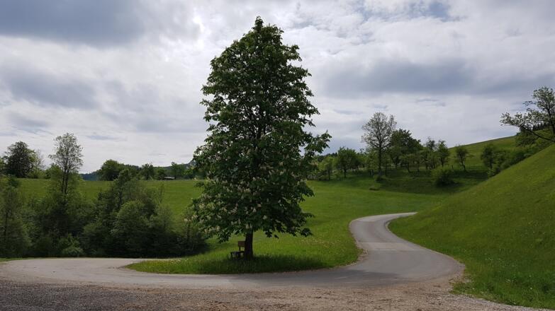 Auffahrt zum Hartner.