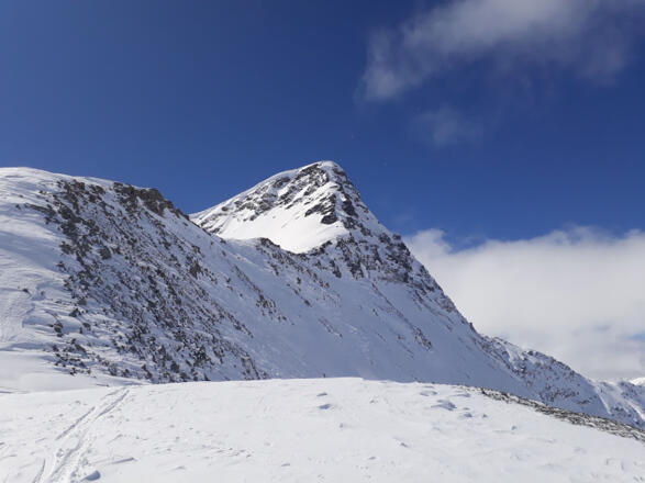 Der Gipfel.  Aufstiegsroute von hier nicht sichtbar. Links vom Grat.