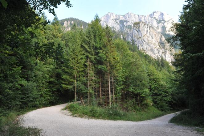 Hier folgen wir der Forststraße nach links