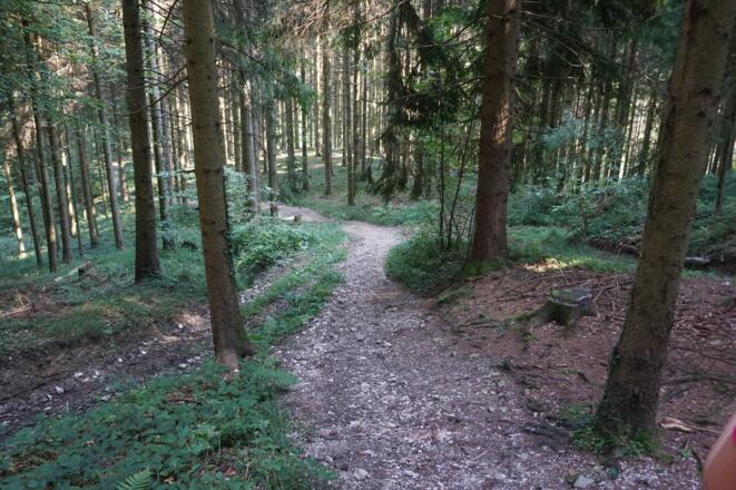 Abstiegsweg nach dem Druckerhof