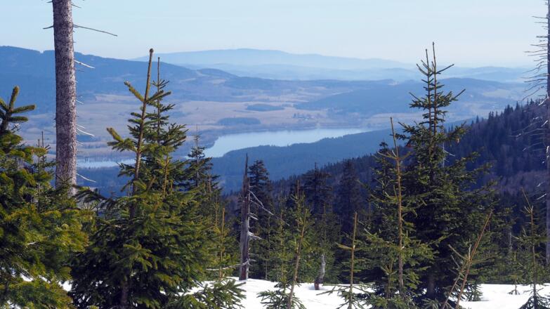 Moldaustausee vom Reischlberg