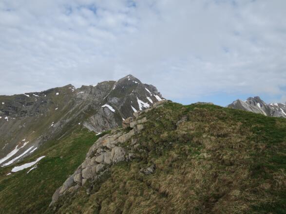 Blick Richtung Wasenwand die unschwierig in ca. 30 Minuten auch noch bestiegen werden kann.