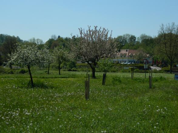 Einkehrgasthaus "Parlament" in Leitzing im Machland Süd