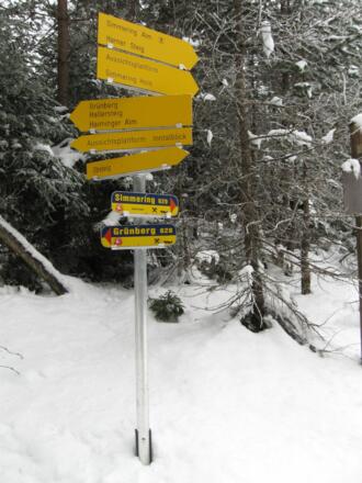 Schilderbaum an der Weggabelung. Die Wegbezeichnungen sind wirklich sehr gut.