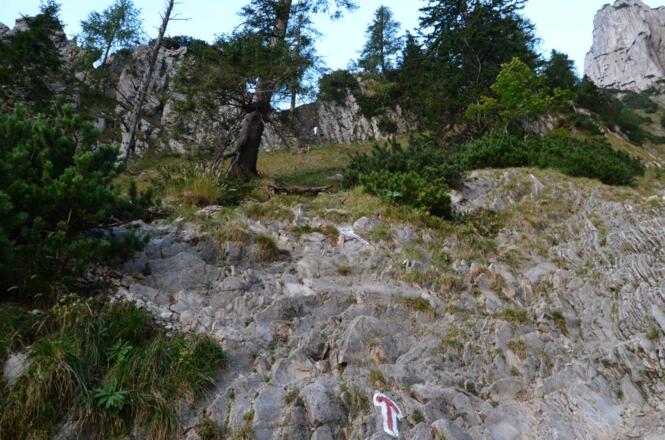 wir queren den &quot;Brandgraben&quot;