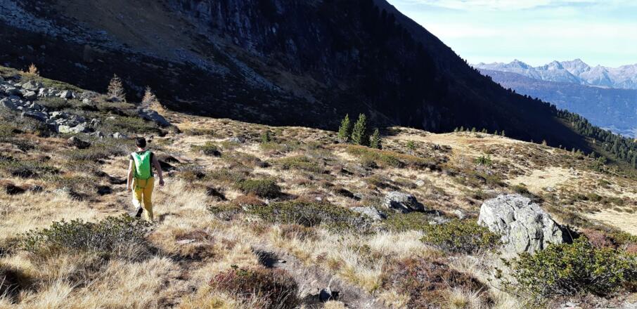Unschwieriges, angenehmes Gehgelände hinab ...