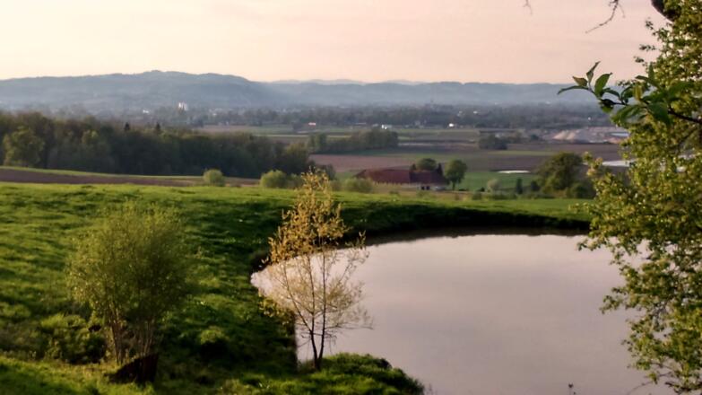 Teich unterhalb Erdpresserhof 355m