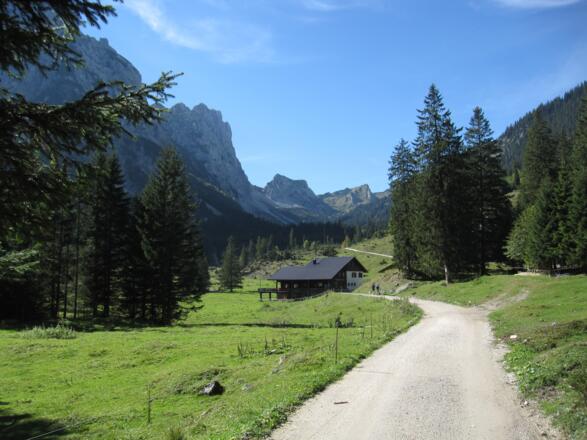 Musauer Alm 1290m