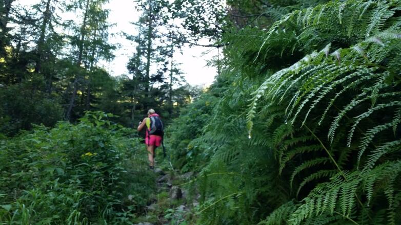 Aufstieg zum 1 Landschitzsee