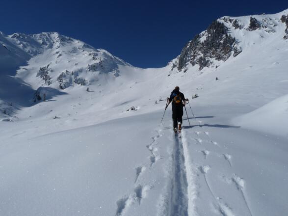 Kurz nach dem Wazalm-Hochleger öffnet sich der untere Abschnitt des Malgrüblerkars.