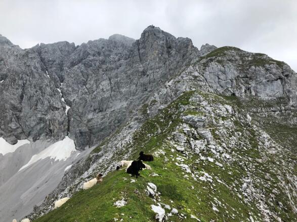 Vom Brandjochkreuz der Grat vor uns