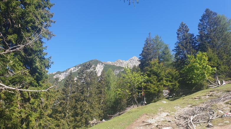 Nun weiter auf einem Pfad, weit oben die Kuhljochspitze
