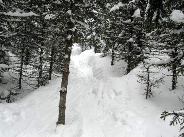Wunderschöne Route durch den tief verschneiten Wald.