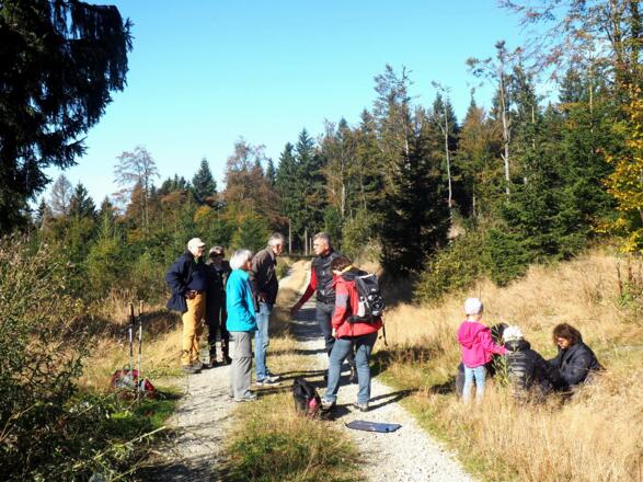 Forststraße 995m, links SO-wärts zum 1000m Platzl