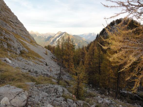 Abstieg vorbei am Kühfeld Richtung Lärchkogel