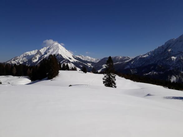 Gr. Pyhrgas von der Schmidalm