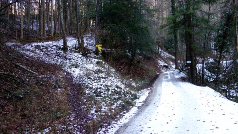 Abzweig 450 m Richtung Nixloch, Hintsteiner, H. Dirn