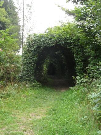 Laubengang vor der Hirschalm