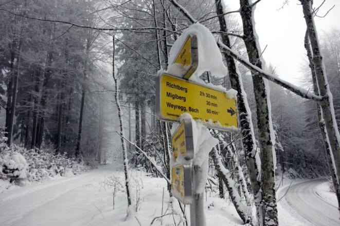 Straße links verlassen (Forstweg ~835m) Richtung Hongar