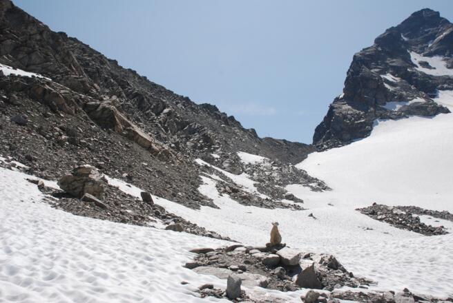 Im Aufstieg zur Seelücke