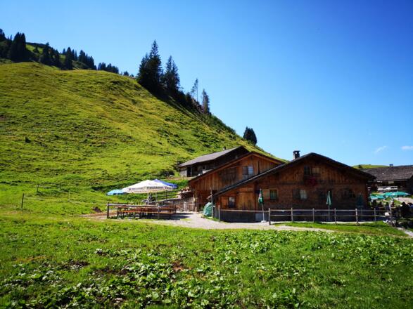 Zurück bei der Alpe Steris