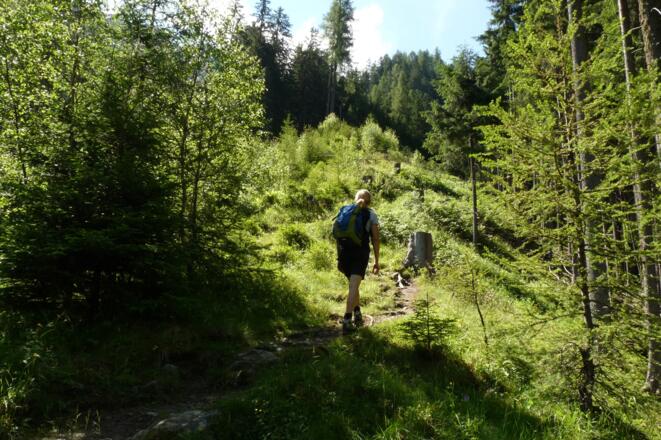 Ein schön angelegter Steig führt durch den schattigen Wald hinauf zur Mischbachalm.