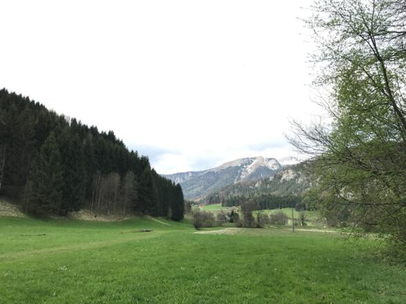 Am Rückweg nach Windischgarsten