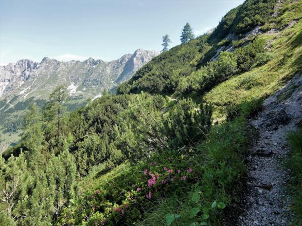Blick zu den Schindlköpfen
