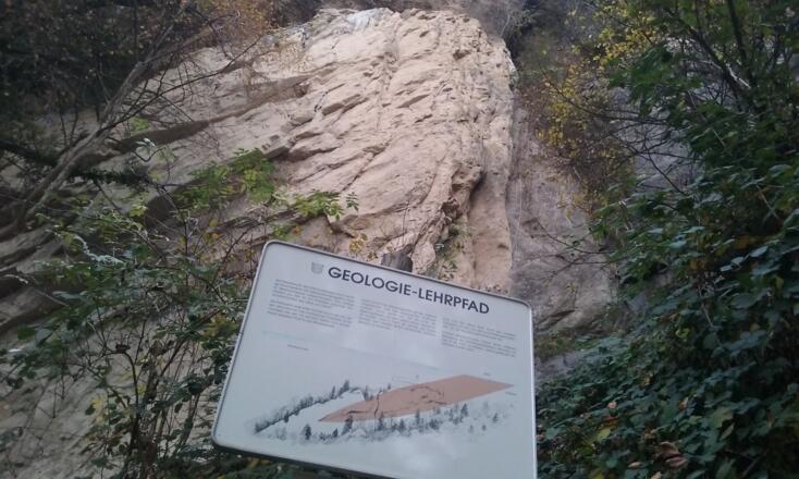 Unter dem Felsabbruch des Gebhardsberg am Geologielehrpfad / Below the rockfall of Gebhardsberg