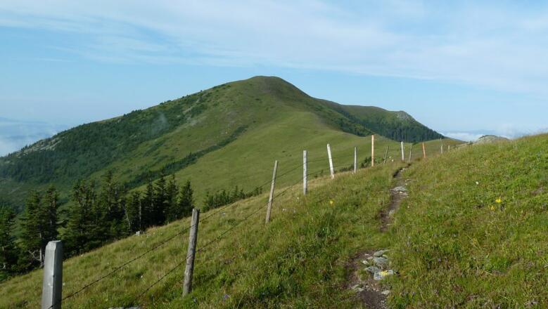 Am Weg zum Rossbachkogel