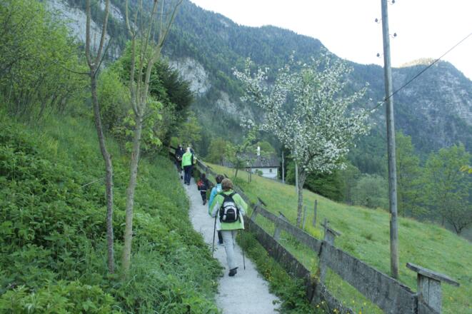 Ostuferwanderweg
