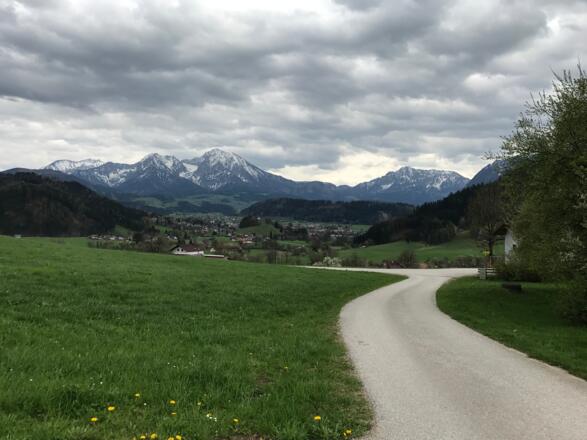 Vom Giererkogel abwärts, im Hintergrund Haller Mauern und Bosruck